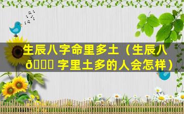 生辰八字命里多土（生辰八 💐 字里土多的人会怎样）